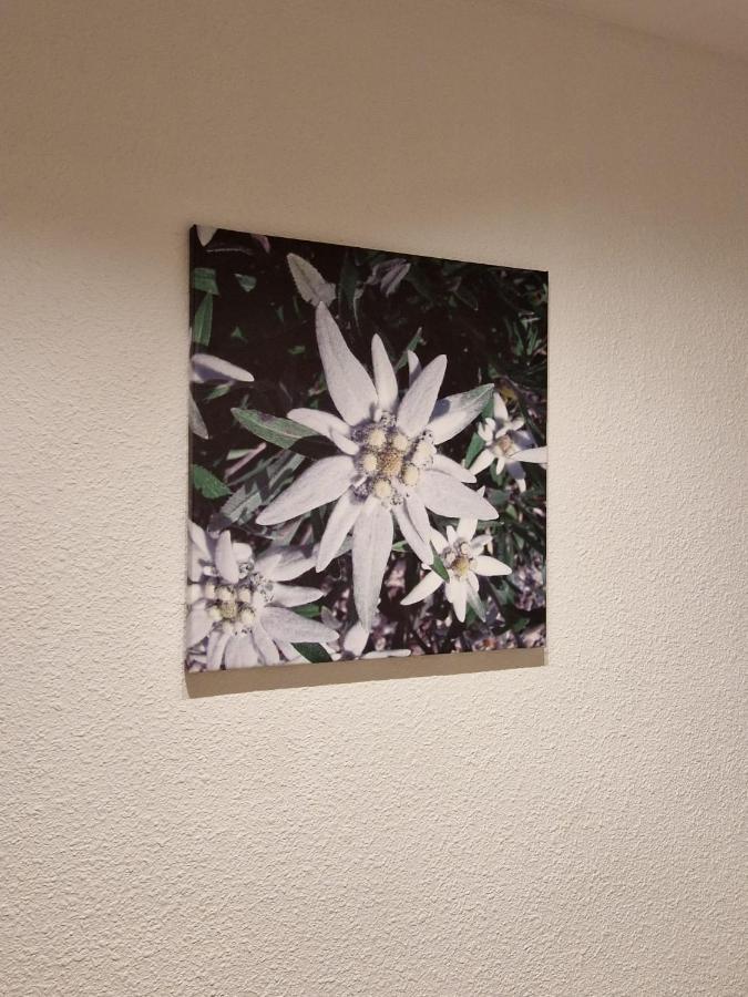 Appartamento Flor De Nieve Jaca Esterno foto